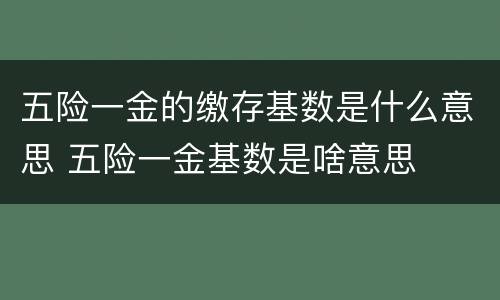 五险一金的缴存基数是什么意思 五险一金基数是啥意思