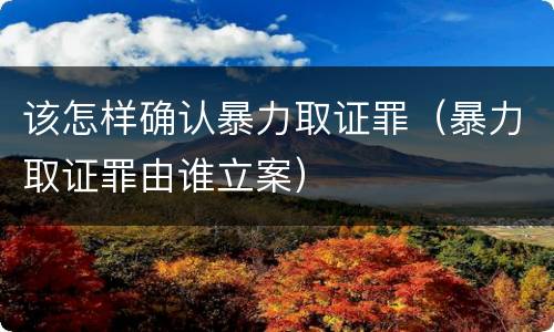 该怎样确认暴力取证罪（暴力取证罪由谁立案）
