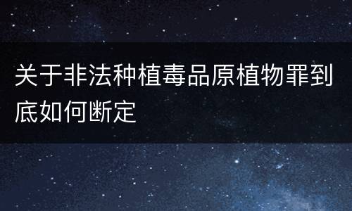 关于非法种植毒品原植物罪到底如何断定