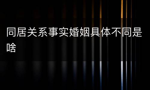 同居关系事实婚姻具体不同是啥