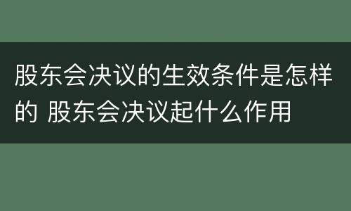股东会决议的生效条件是怎样的 股东会决议起什么作用