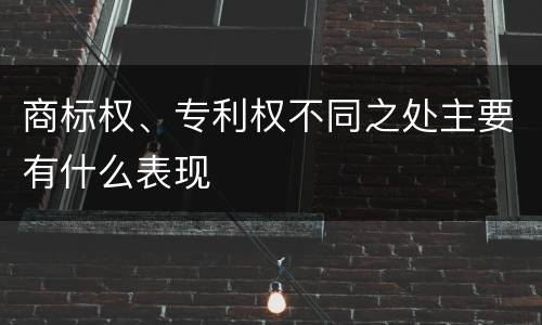 商标权、专利权不同之处主要有什么表现