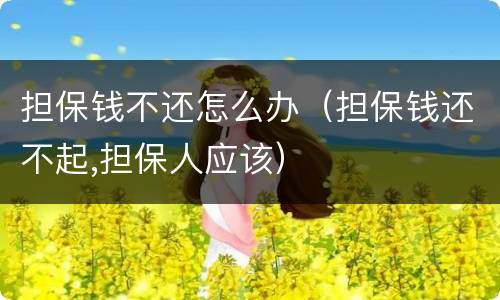 担保钱不还怎么办（担保钱还不起,担保人应该）