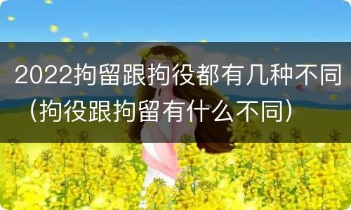 2022拘留跟拘役都有几种不同（拘役跟拘留有什么不同）