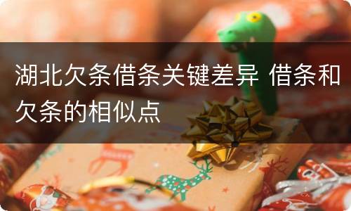 湖北欠条借条关键差异 借条和欠条的相似点