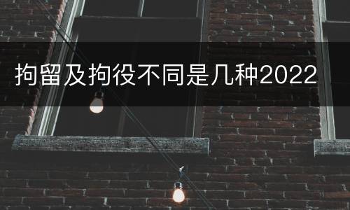 拘留及拘役不同是几种2022
