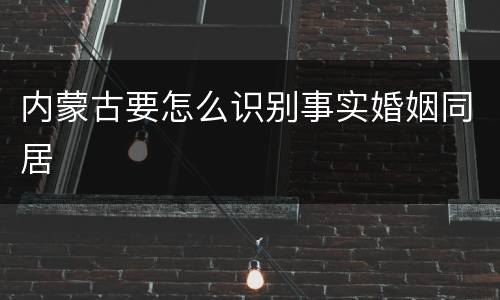 内蒙古要怎么识别事实婚姻同居