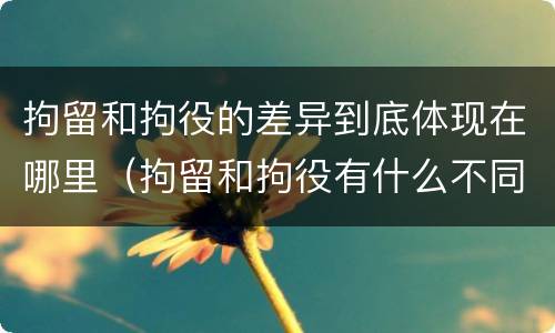 拘留和拘役的差异到底体现在哪里（拘留和拘役有什么不同?）
