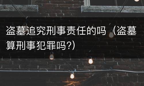 盗墓追究刑事责任的吗（盗墓算刑事犯罪吗?）