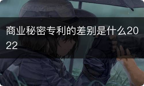商业秘密专利的差别是什么2022