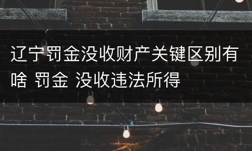 辽宁罚金没收财产关键区别有啥 罚金 没收违法所得
