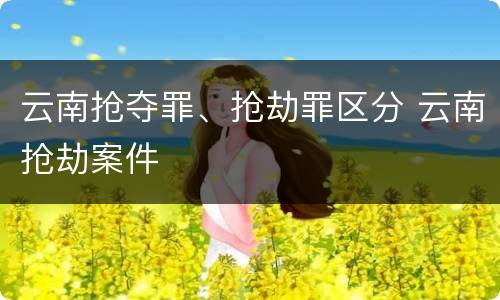 云南抢夺罪、抢劫罪区分 云南抢劫案件