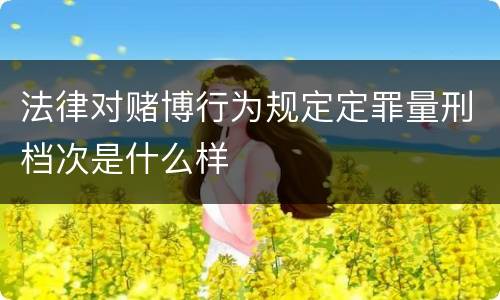 法律对赌博行为规定定罪量刑档次是什么样