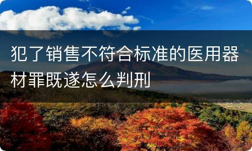 犯了销售不符合标准的医用器材罪既遂怎么判刑