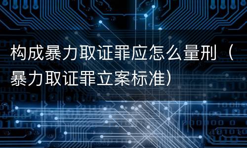 构成暴力取证罪应怎么量刑（暴力取证罪立案标准）