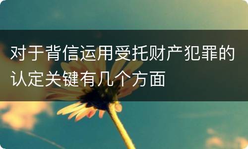 对于背信运用受托财产犯罪的认定关键有几个方面
