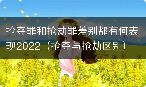 抢夺罪和抢劫罪差别都有何表现2022（抢夺与抢劫区别）