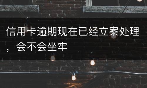 信用卡逾期现在已经立案处理，会不会坐牢