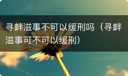 寻衅滋事不可以缓刑吗（寻衅滋事可不可以缓刑）