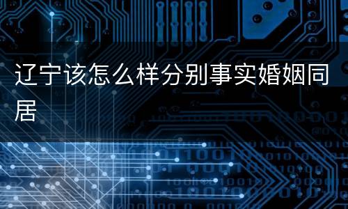 辽宁该怎么样分别事实婚姻同居