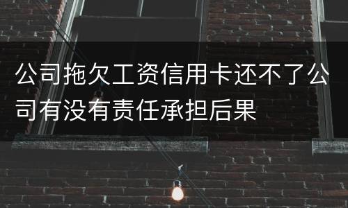 公司拖欠工资信用卡还不了公司有没有责任承担后果