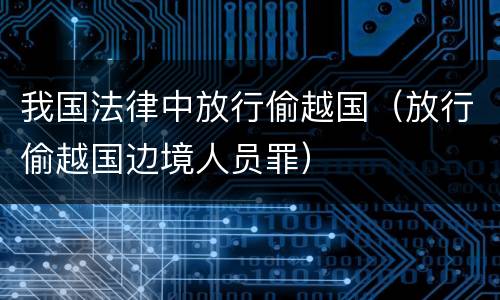 我国法律中放行偷越国（放行偷越国边境人员罪）