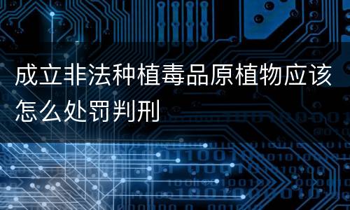 成立非法种植毒品原植物应该怎么处罚判刑