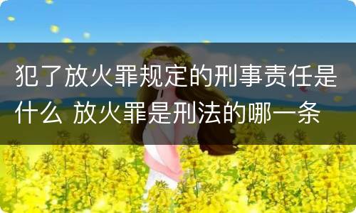 犯了放火罪规定的刑事责任是什么 放火罪是刑法的哪一条