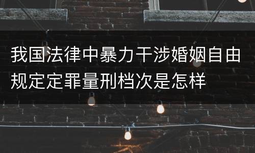 我国法律中暴力干涉婚姻自由规定定罪量刑档次是怎样