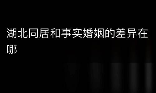 湖北同居和事实婚姻的差异在哪