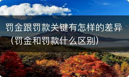 罚金跟罚款关键有怎样的差异（罚金和罚款什么区别）