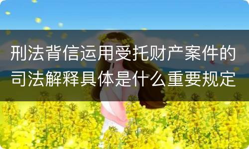 刑法背信运用受托财产案件的司法解释具体是什么重要规定