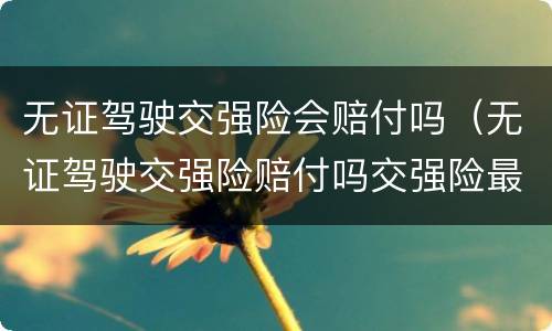 无证驾驶交强险会赔付吗（无证驾驶交强险赔付吗交强险最高赔付多少）