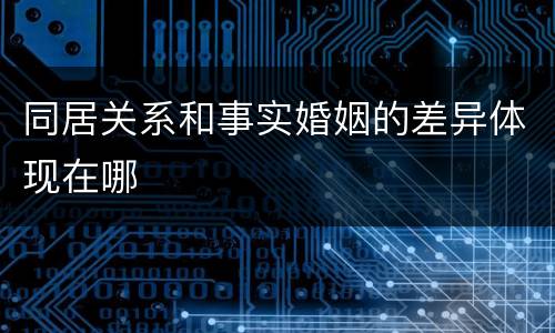 同居关系和事实婚姻的差异体现在哪
