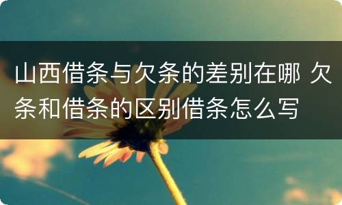 山西借条与欠条的差别在哪 欠条和借条的区别借条怎么写