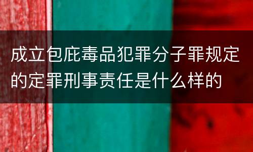 成立包庇毒品犯罪分子罪规定的定罪刑事责任是什么样的