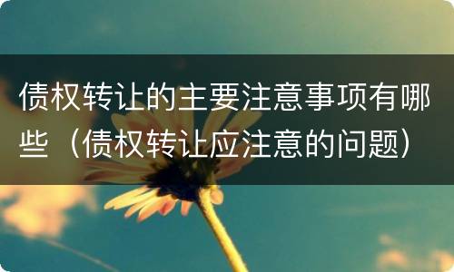 债权转让的主要注意事项有哪些（债权转让应注意的问题）