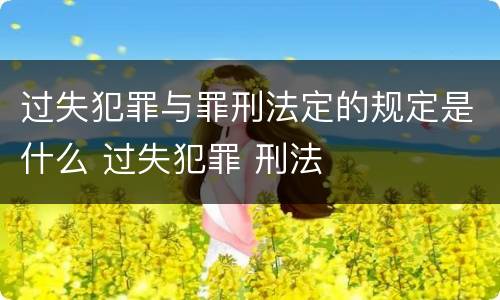 过失犯罪与罪刑法定的规定是什么 过失犯罪 刑法