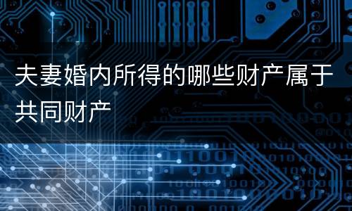 夫妻婚内所得的哪些财产属于共同财产