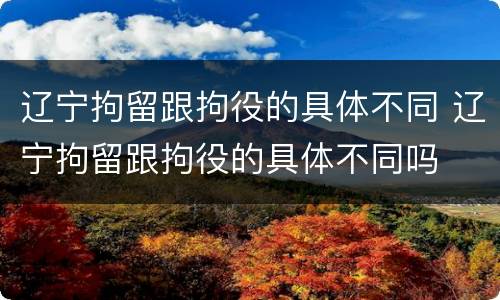 辽宁拘留跟拘役的具体不同 辽宁拘留跟拘役的具体不同吗