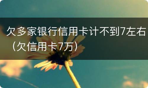 欠多家银行信用卡计不到7左右（欠信用卡7万）