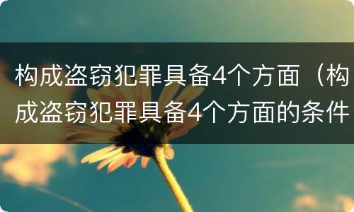构成盗窃犯罪具备4个方面（构成盗窃犯罪具备4个方面的条件）