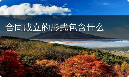 合同成立的形式包含什么