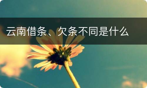 云南借条、欠条不同是什么