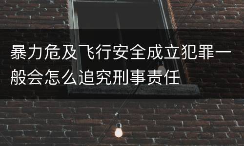 暴力危及飞行安全成立犯罪一般会怎么追究刑事责任