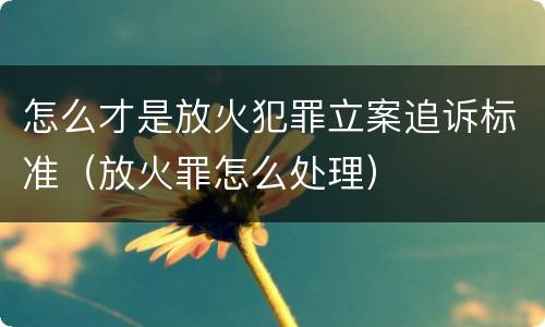 怎么才是放火犯罪立案追诉标准（放火罪怎么处理）