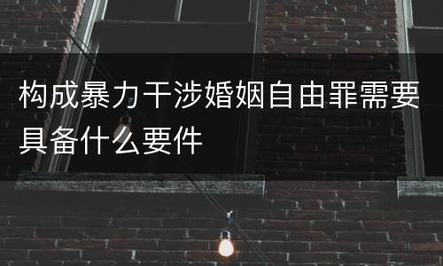 构成暴力干涉婚姻自由罪需要具备什么要件