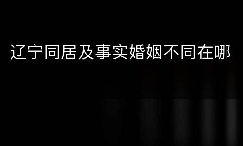 辽宁同居及事实婚姻不同在哪