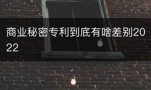 商业秘密专利到底有啥差别2022