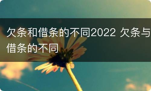 欠条和借条的不同2022 欠条与借条的不同